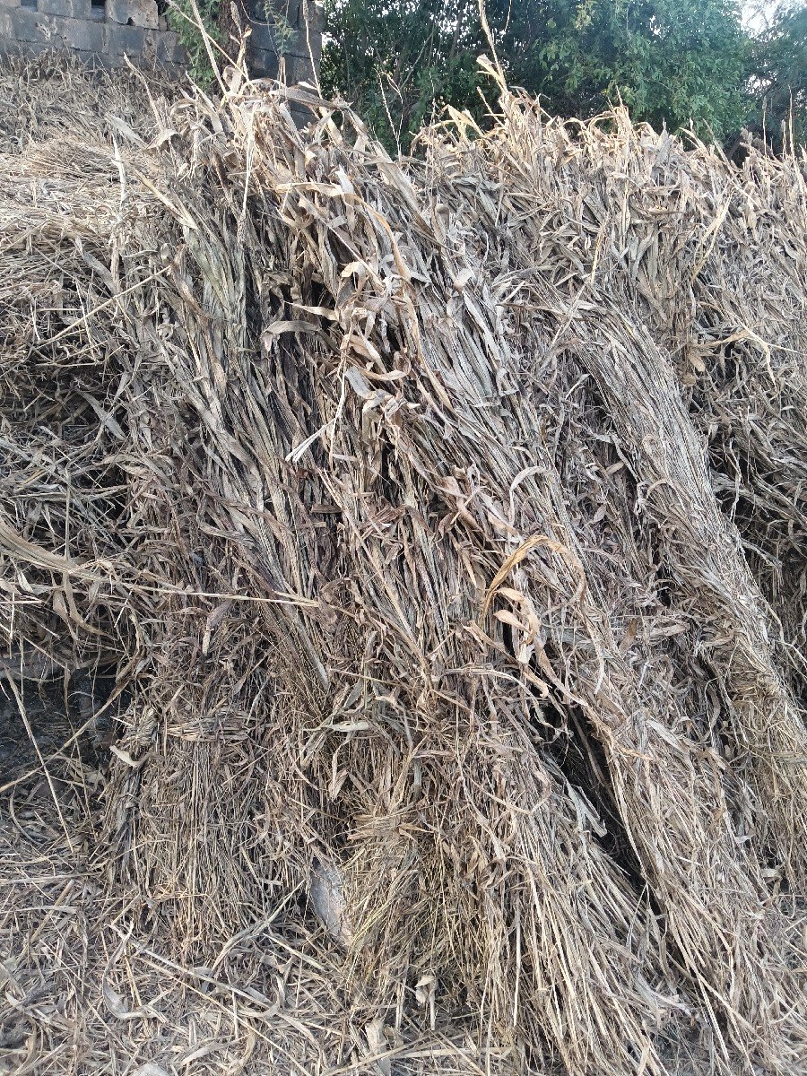 સાર વેચવાની છે.