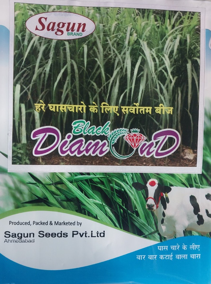 વાઠ વાળુ બાર માસી ધાસ