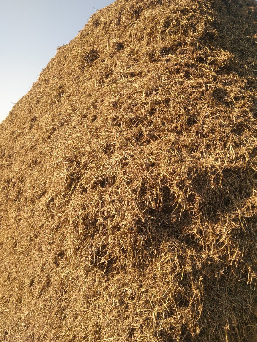 ભુકો વેચવાનો છે