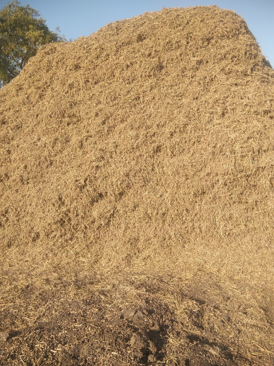 ભુકો વેચવાનો છે