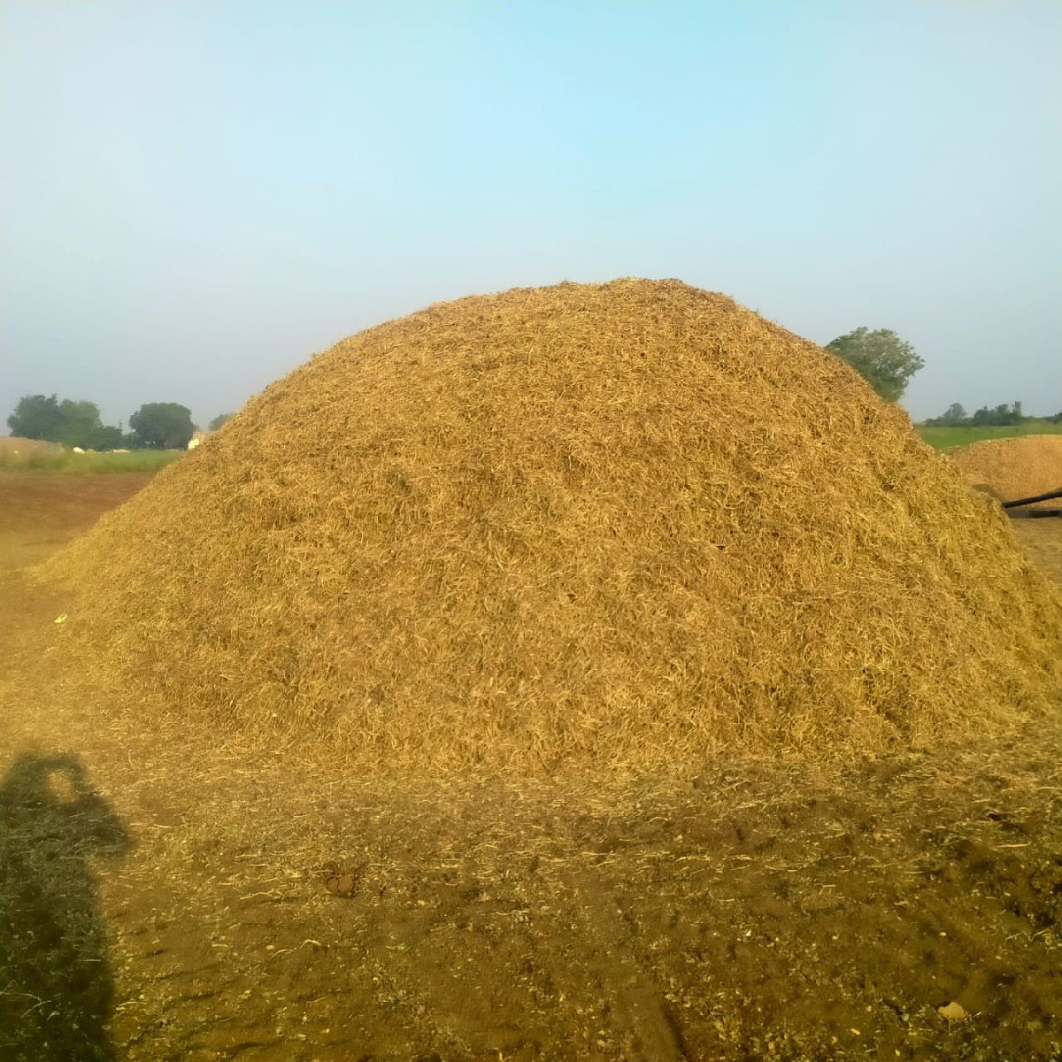 વેચવાની છે