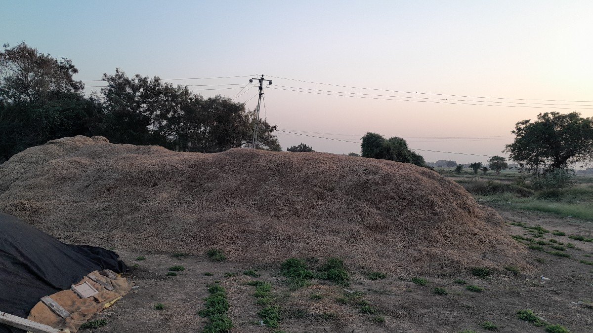 મગફળી નો ભુકો (પાલો) વેચવાનો છે