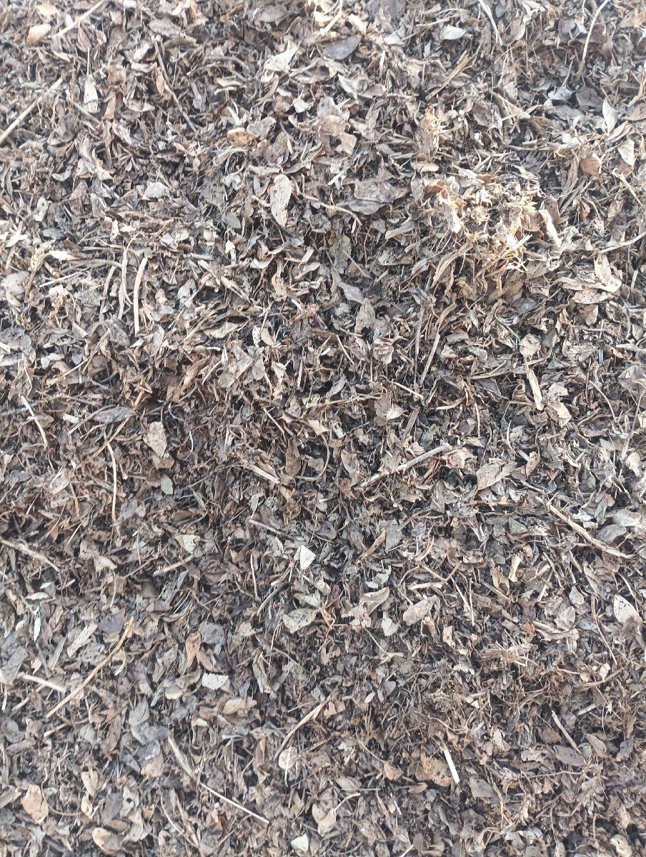 મોગોટુ વેચવા નું છે