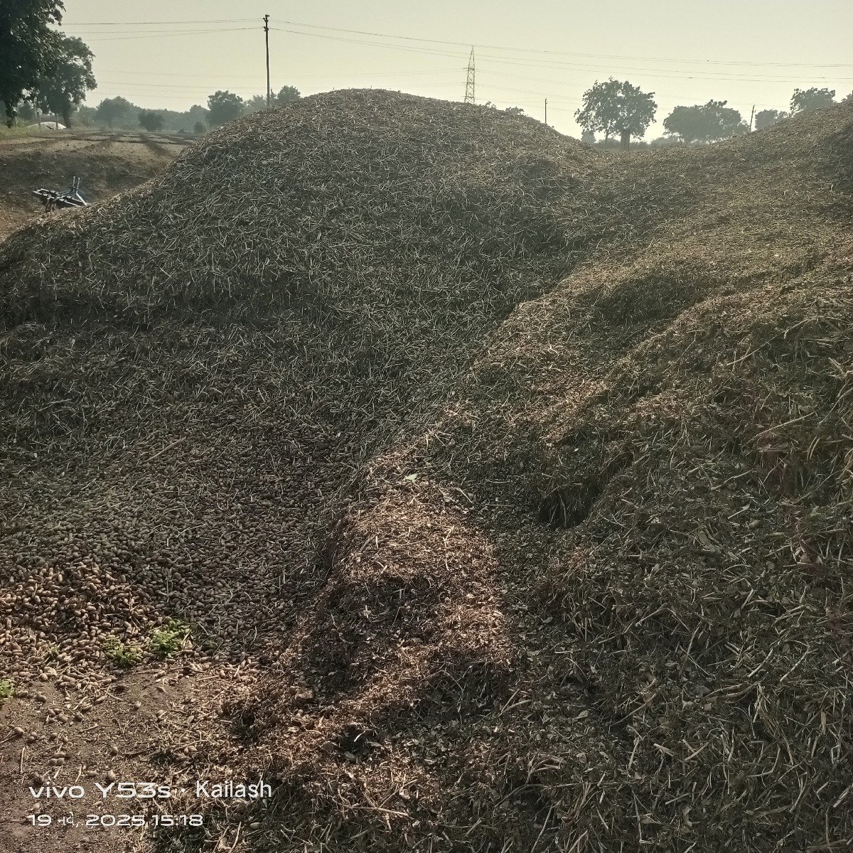 માંડવી નો ભુક્કો વેંચવાનો છે