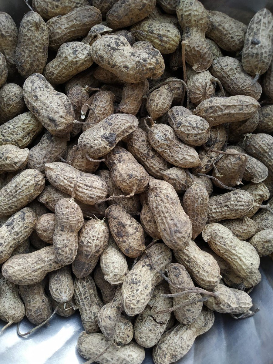 G45 મગફળી  વેચવાની છે