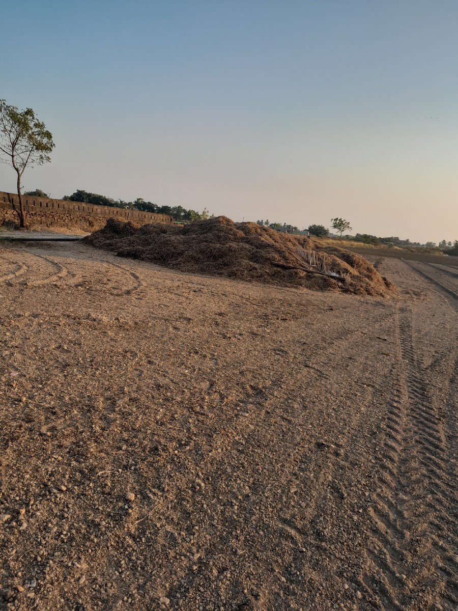 13  vidha
