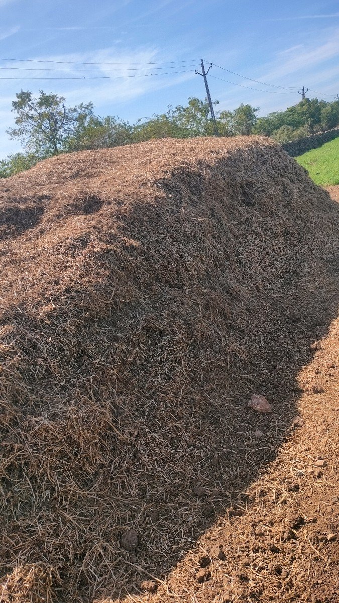 koradu madaviyu