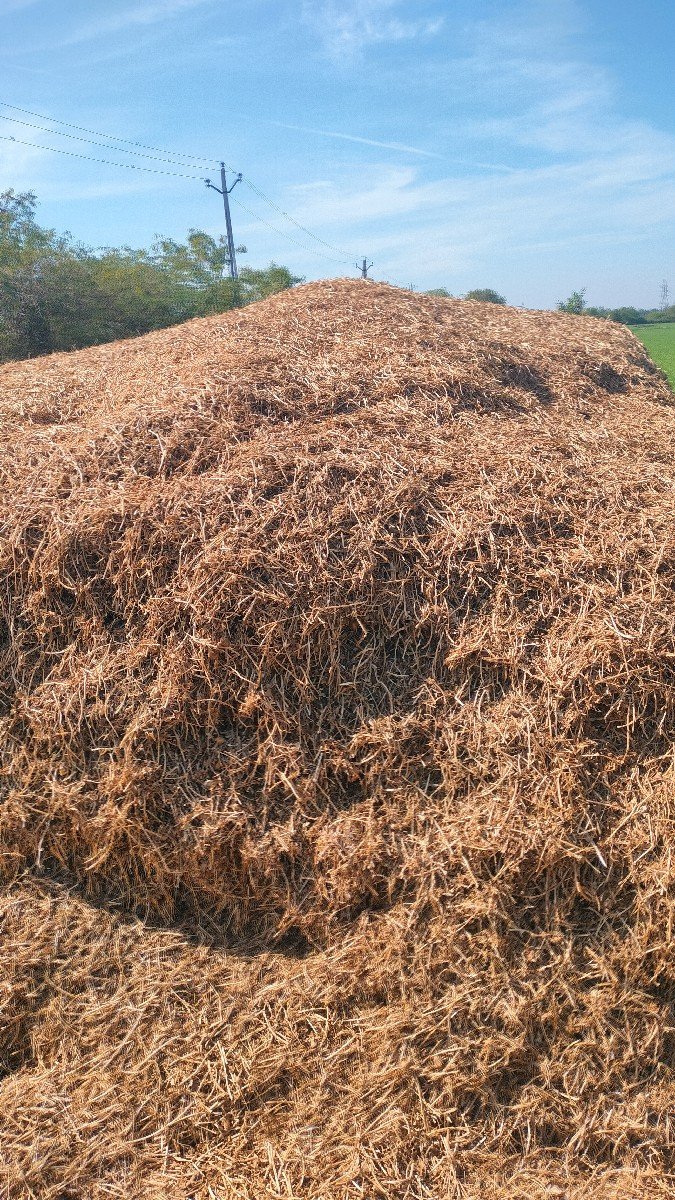 koradu madaviyu