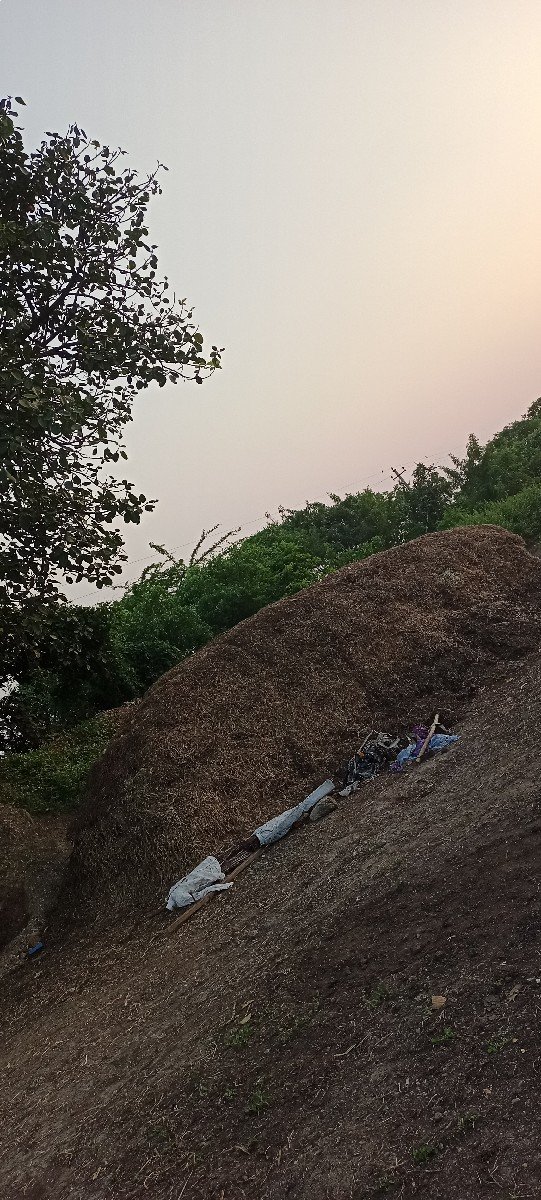 જી વીસ નો ભૂકો કોરો માલ