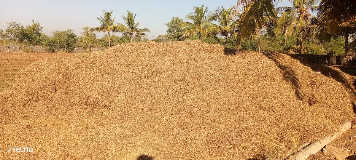 madavi no bhuko