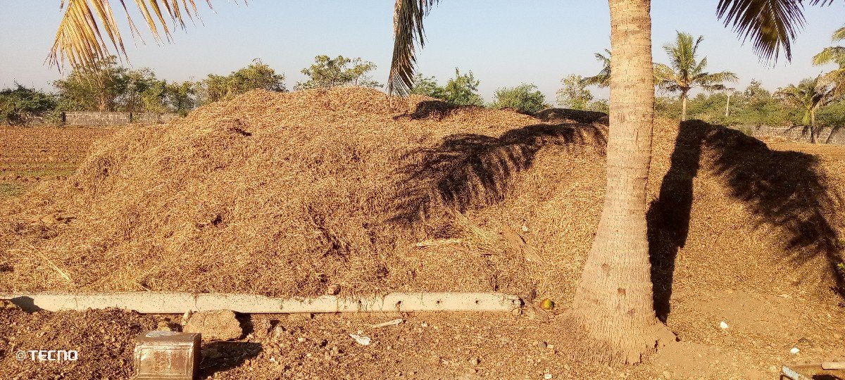 madavi no bhuko