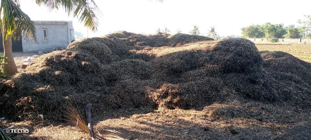 madavi no bhuko