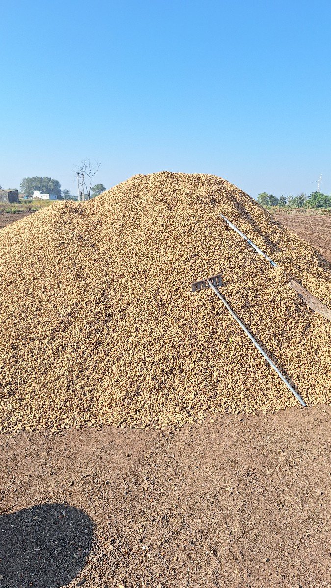 G 22  બીયડમાં આપવાની છે
કોરે છે