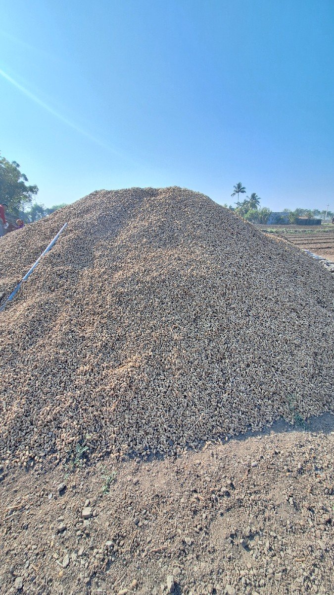 G 22  બીયડમાં આપવાની છે
કોરે છે