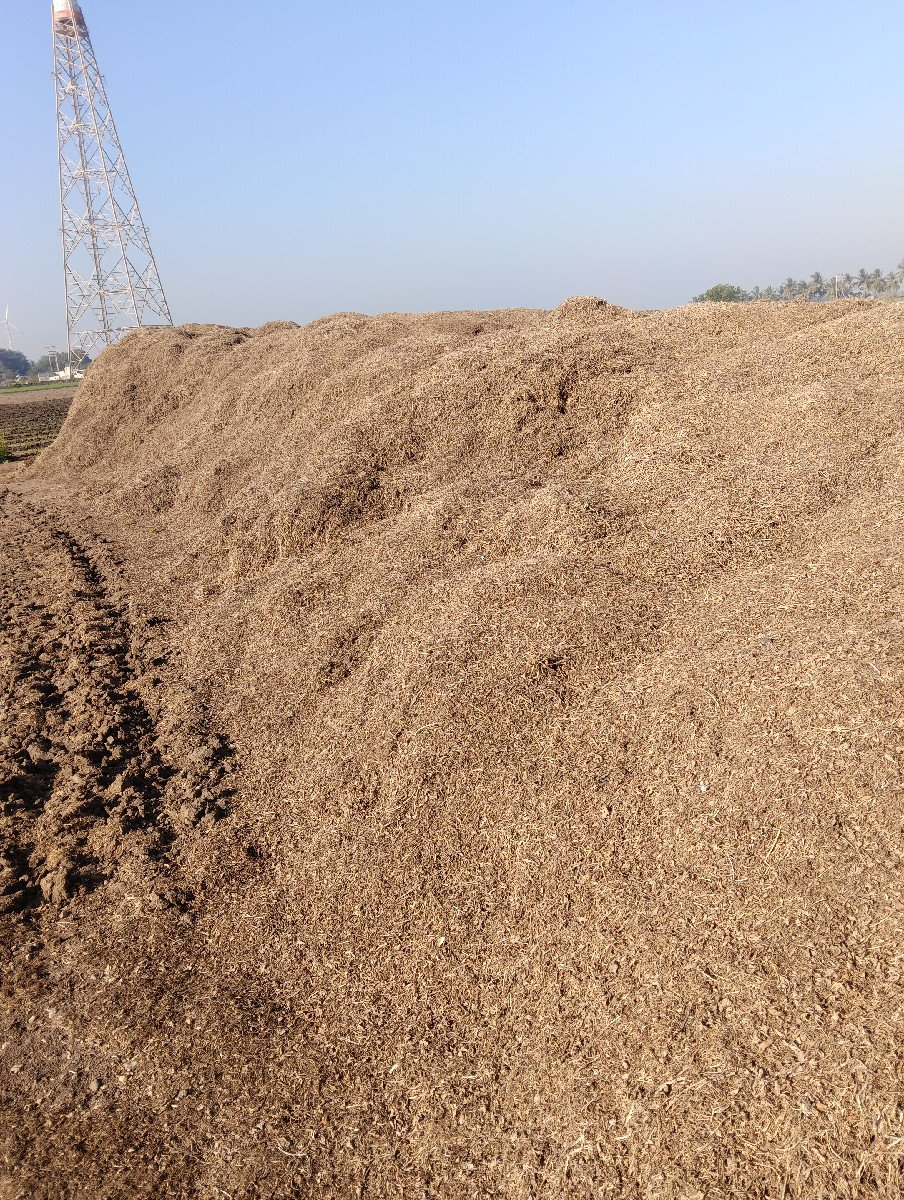 માંડવી ના ભૂકો