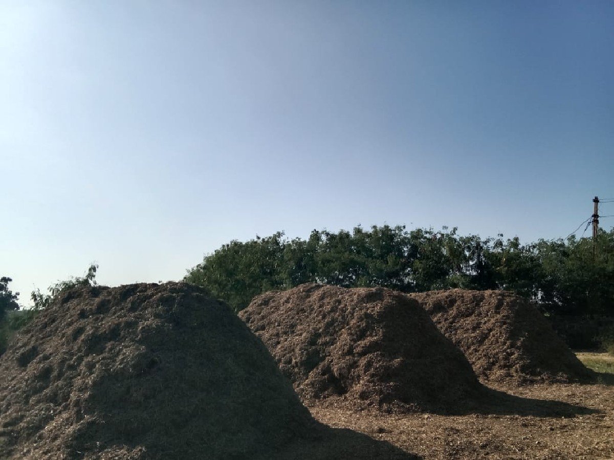 madvino bhuko