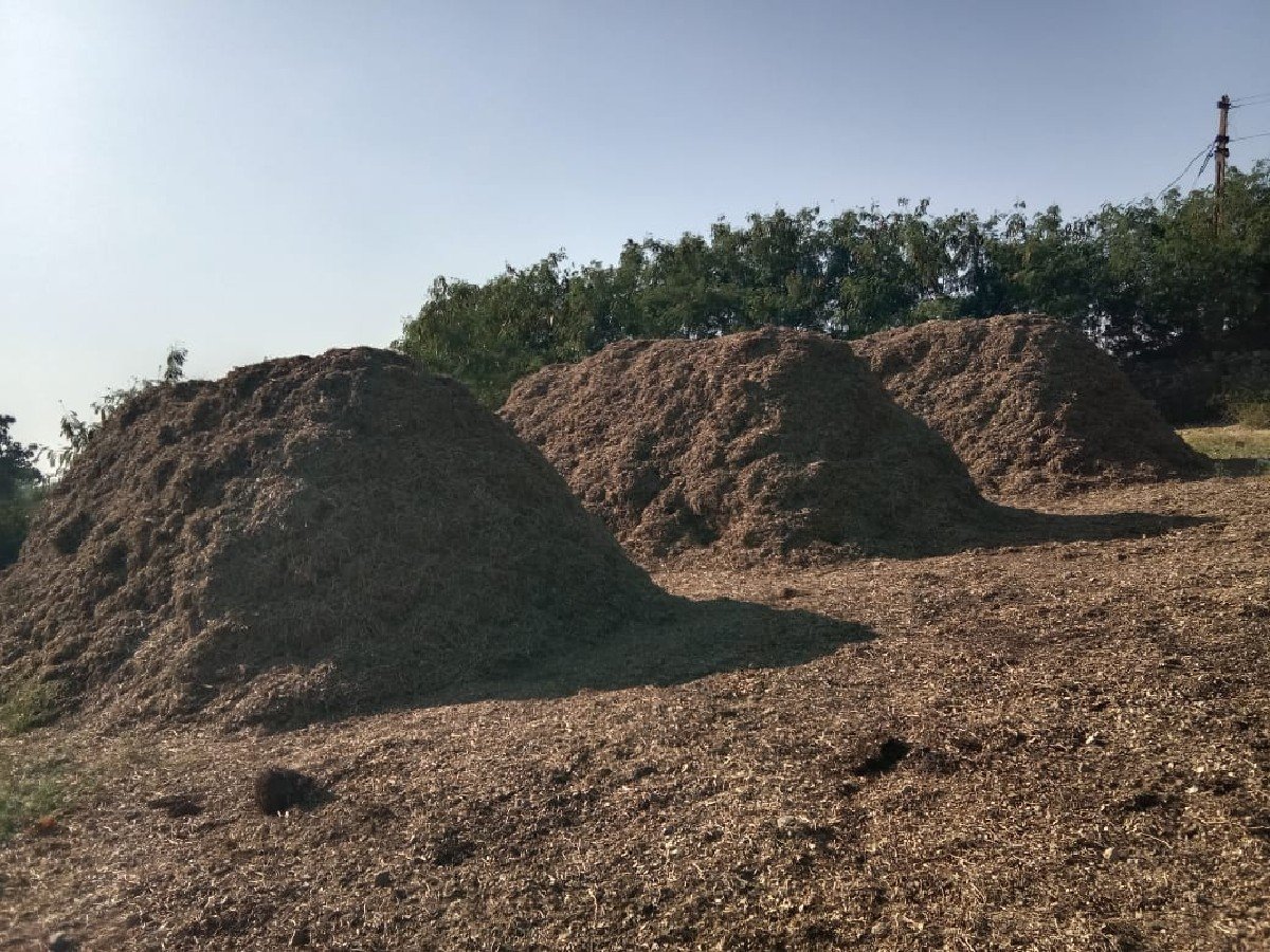 madvino bhuko