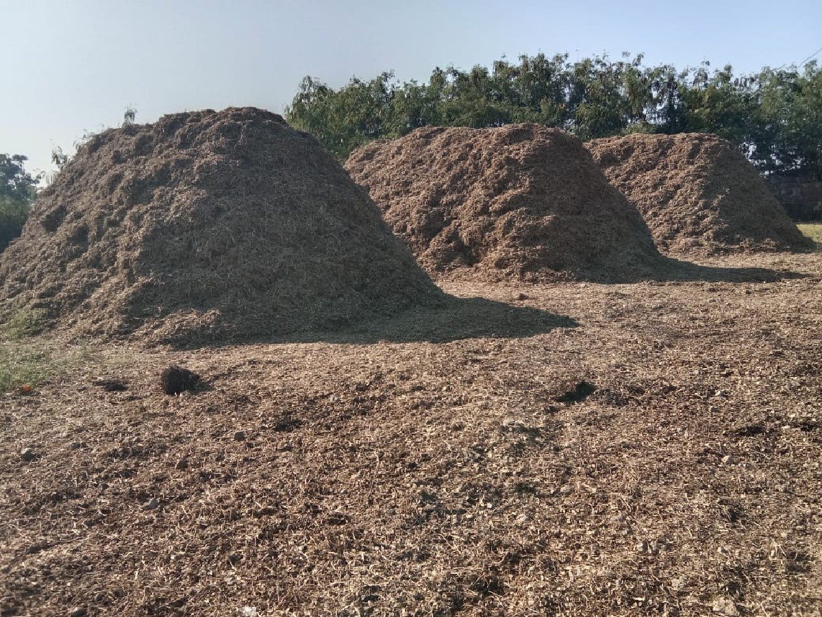 madvino bhuko