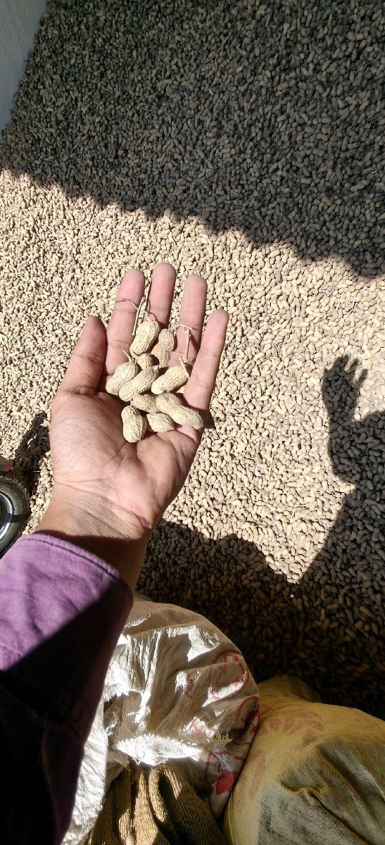 madavi j20, kimatama ferfar