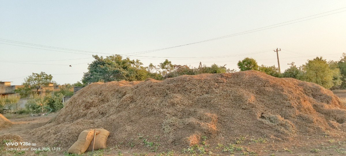 ભૂકો વેચવા નો છે 15 વિધાનો છે