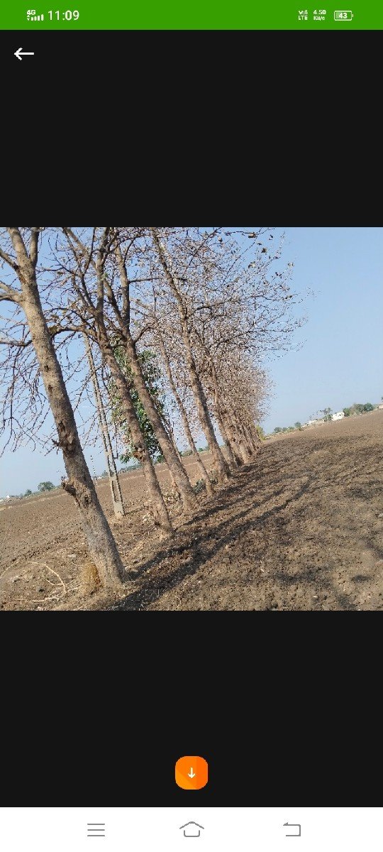 લાકડા આપવા માટે કોન્ટેક્ટ કરો