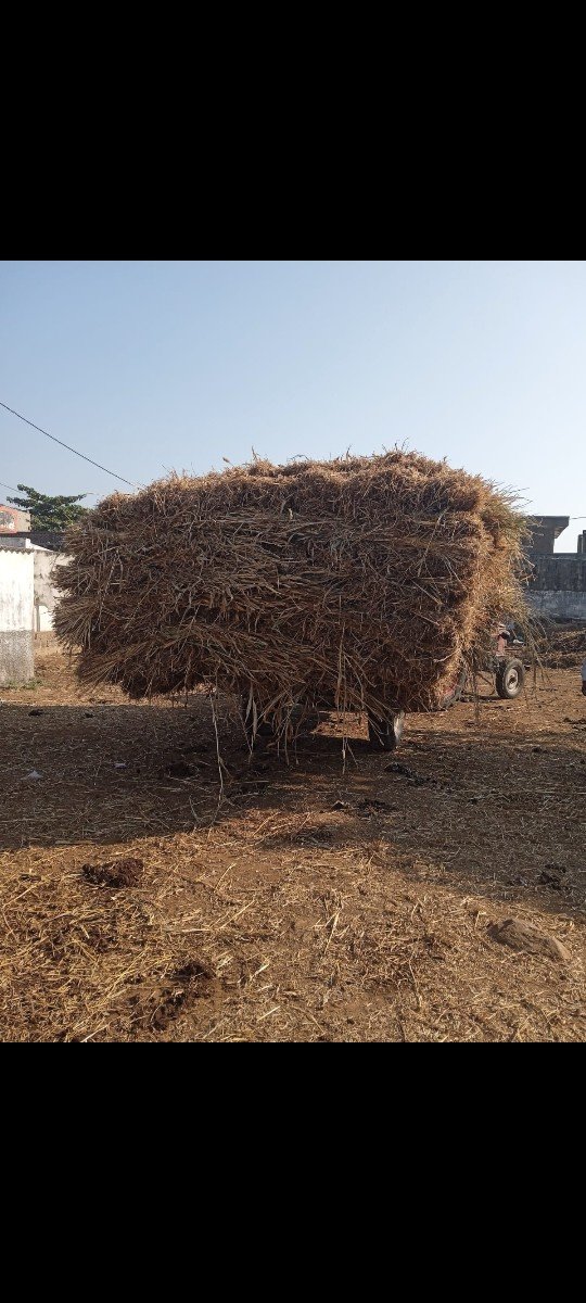 વેચવાની છે