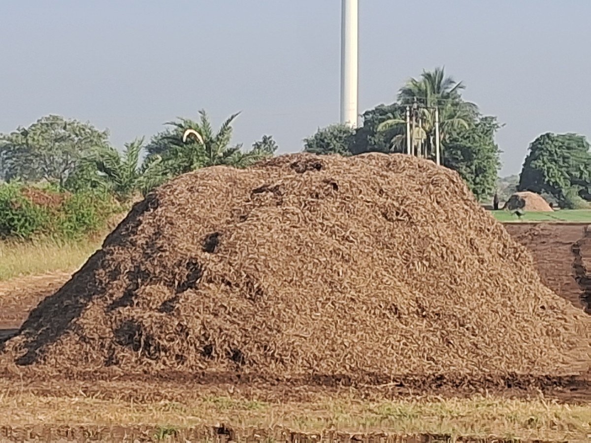 મગફળી નું ભૂકો વેચવાનો છે