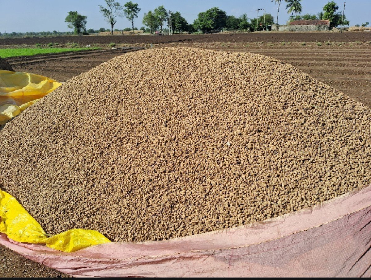 g ૨૦ માંડવી