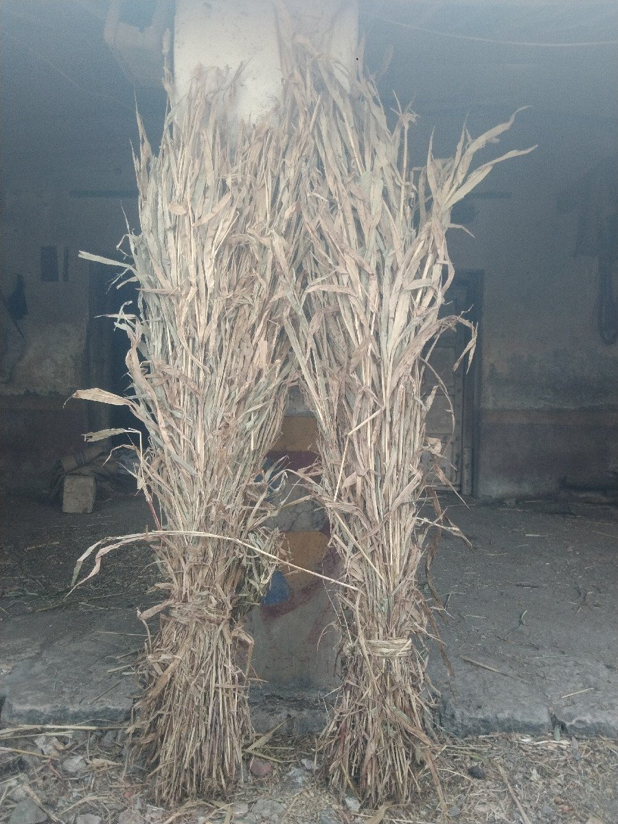 sar .niran .600 pura se