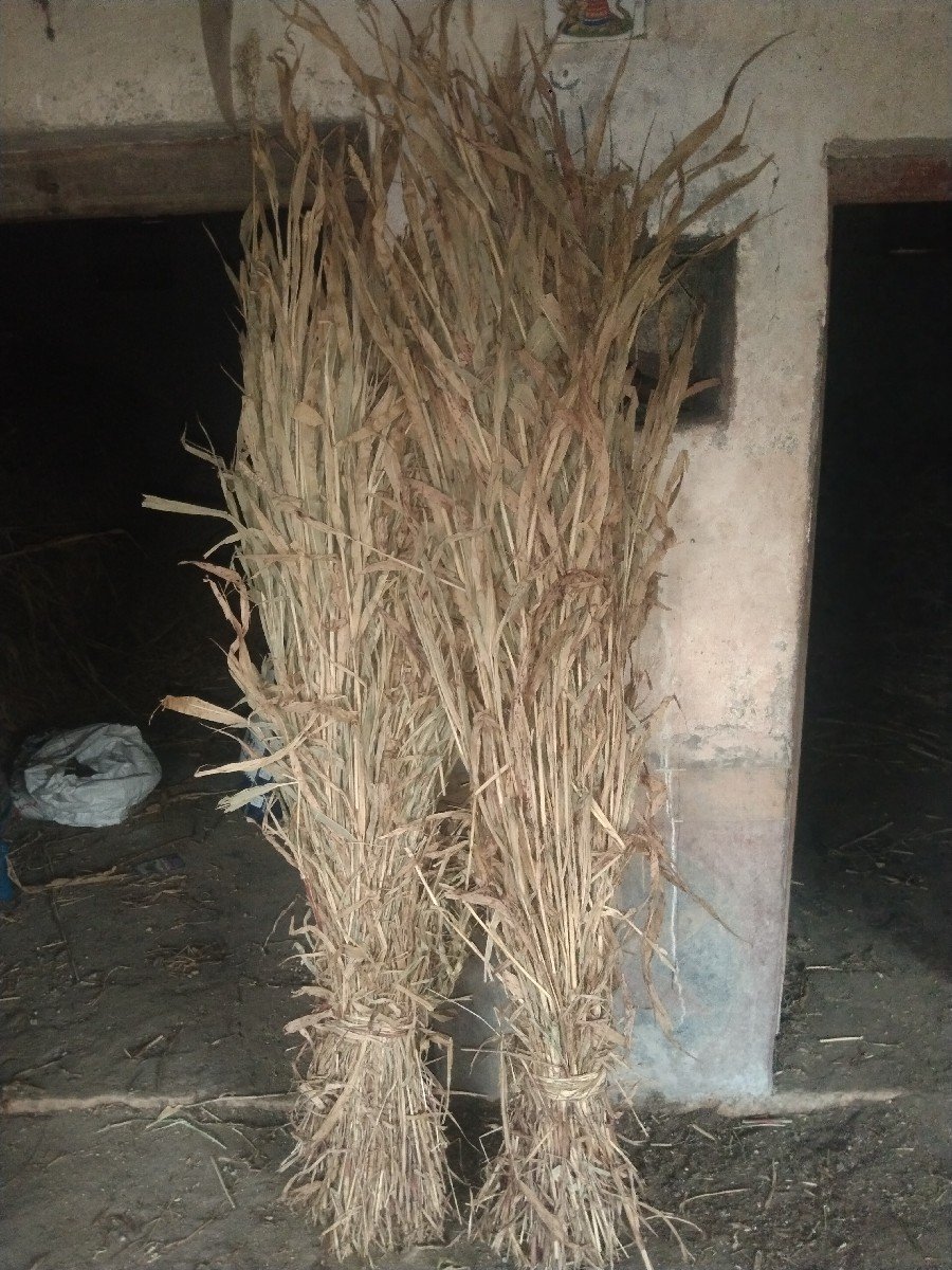 sar .niran .600 pura se