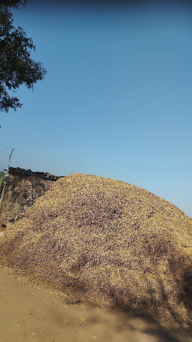 જી૨૦  ચારો