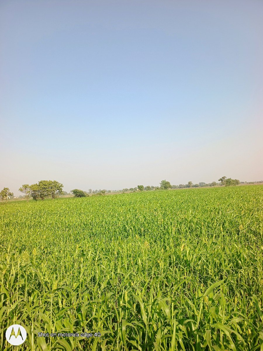 juvar