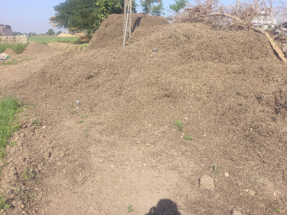 madvinu mogotu 15 viganu se