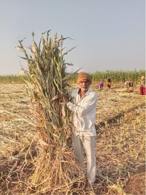 જુવાર ના પૂરા