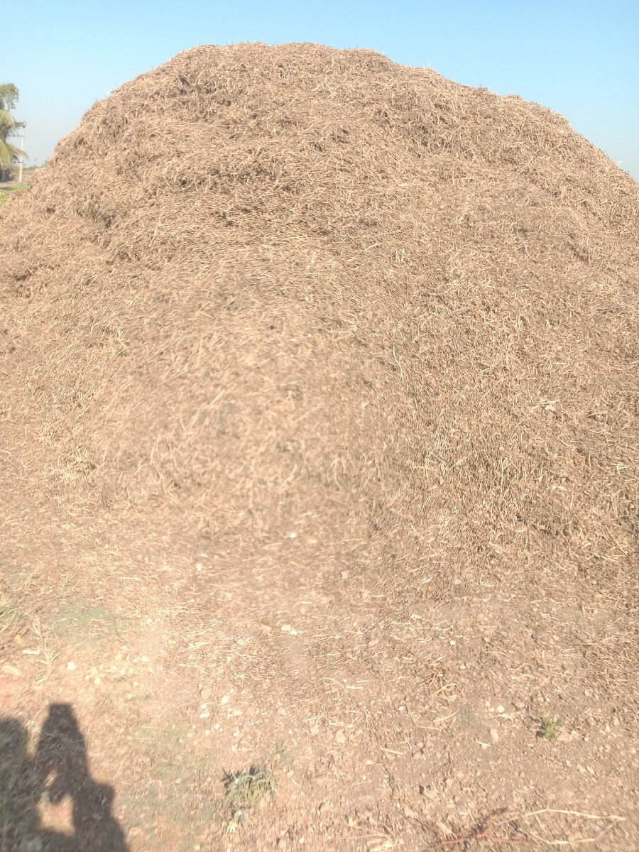 ભૂકો વેચવાનો છે