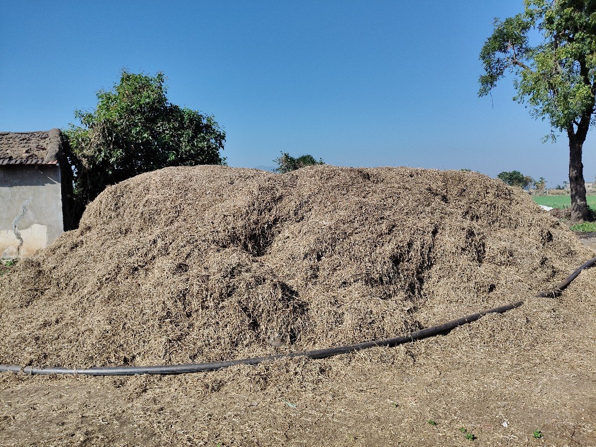 માંડવી નો ભૂકો