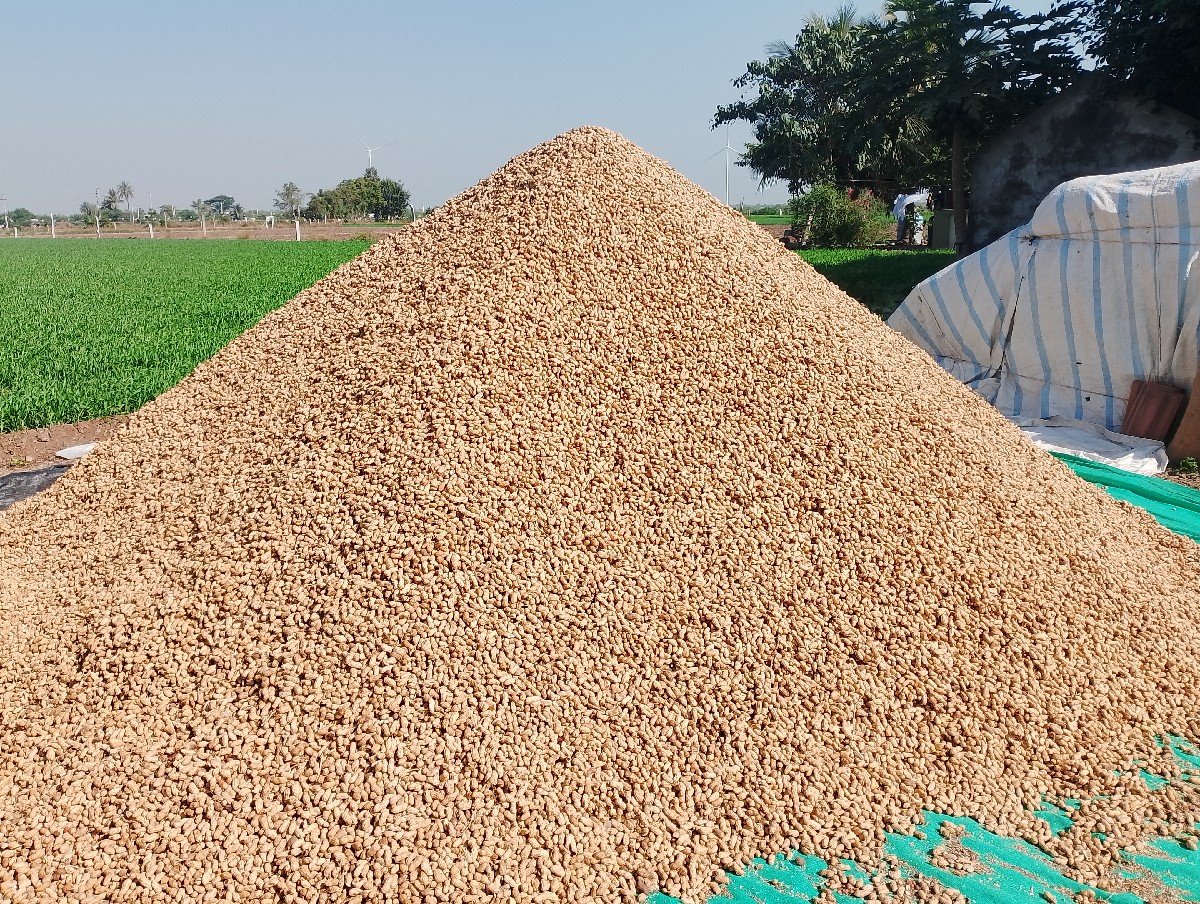 માંડવી ૨૨ નંબર