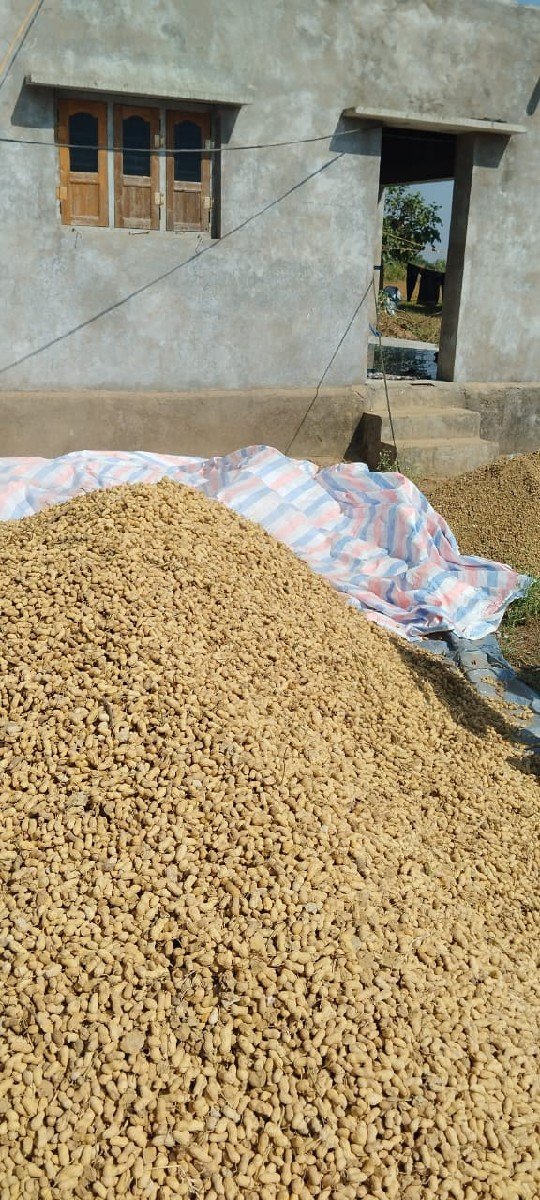 kori mandavi j 20 no vechvani