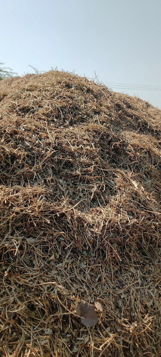 માંડવી નો ભૂકો વેચવાનો છે.