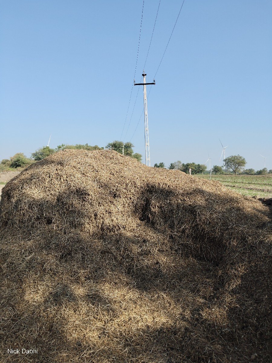 girnar 4 no bhooko