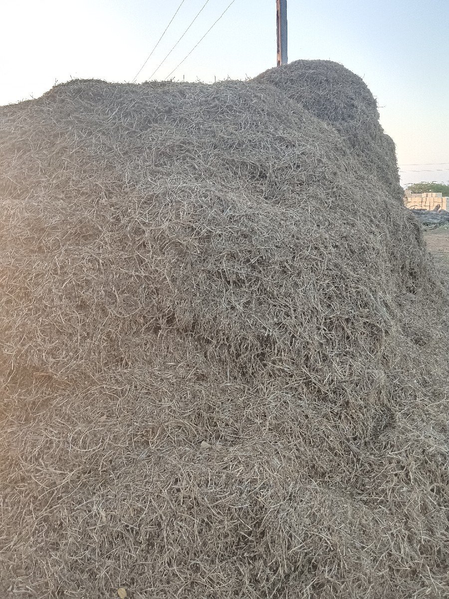 મોગોટુ
