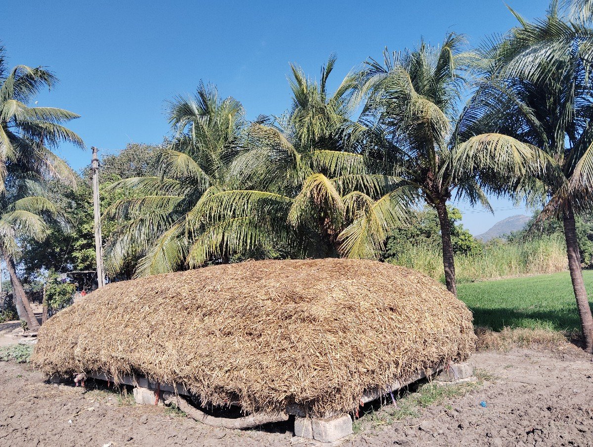જુવારના પૂરા વેચવાના છે