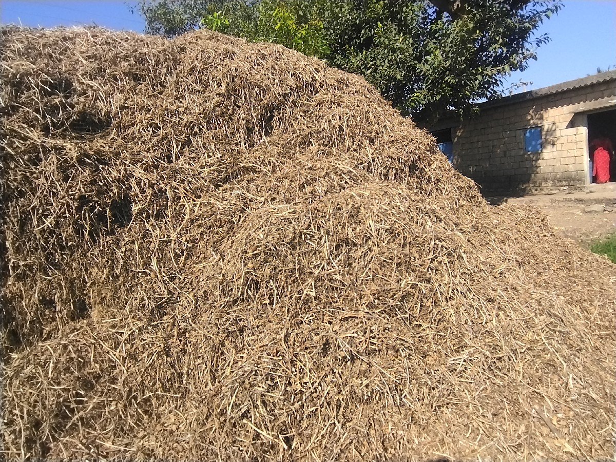 મગફળી નો પાલો ( ભૂકો)