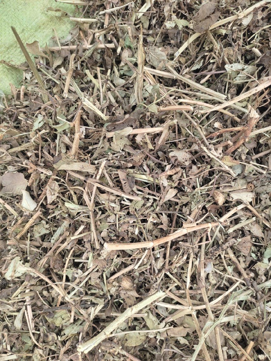 ભુકો