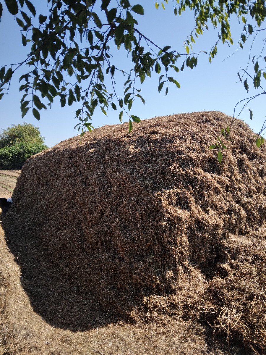મગફળી નૉ પાલન વેચવા નો છે.