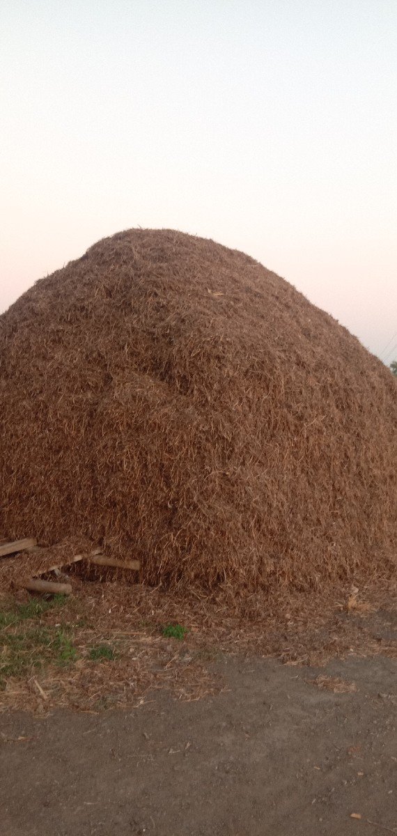 ચારો - ભૂકો