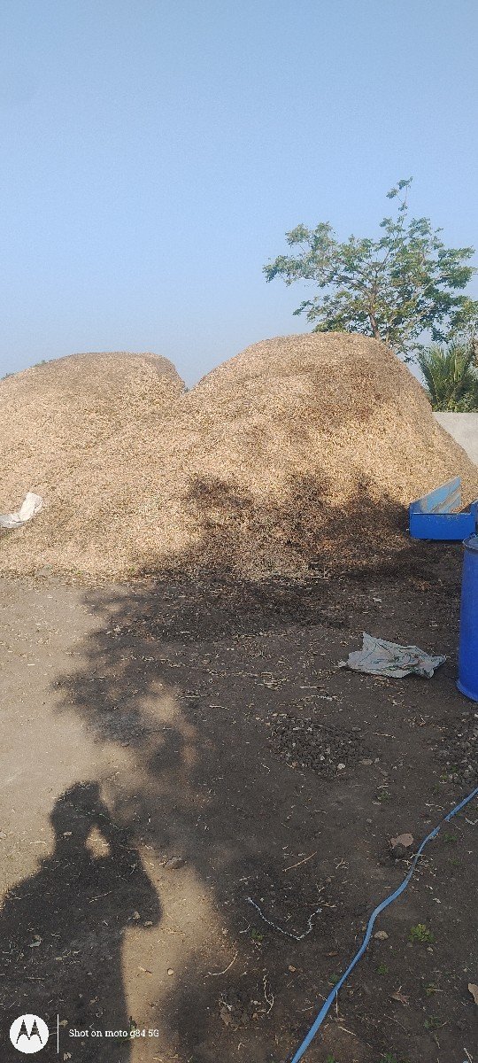 માંડવી નો પાલો વેચવાનો છે