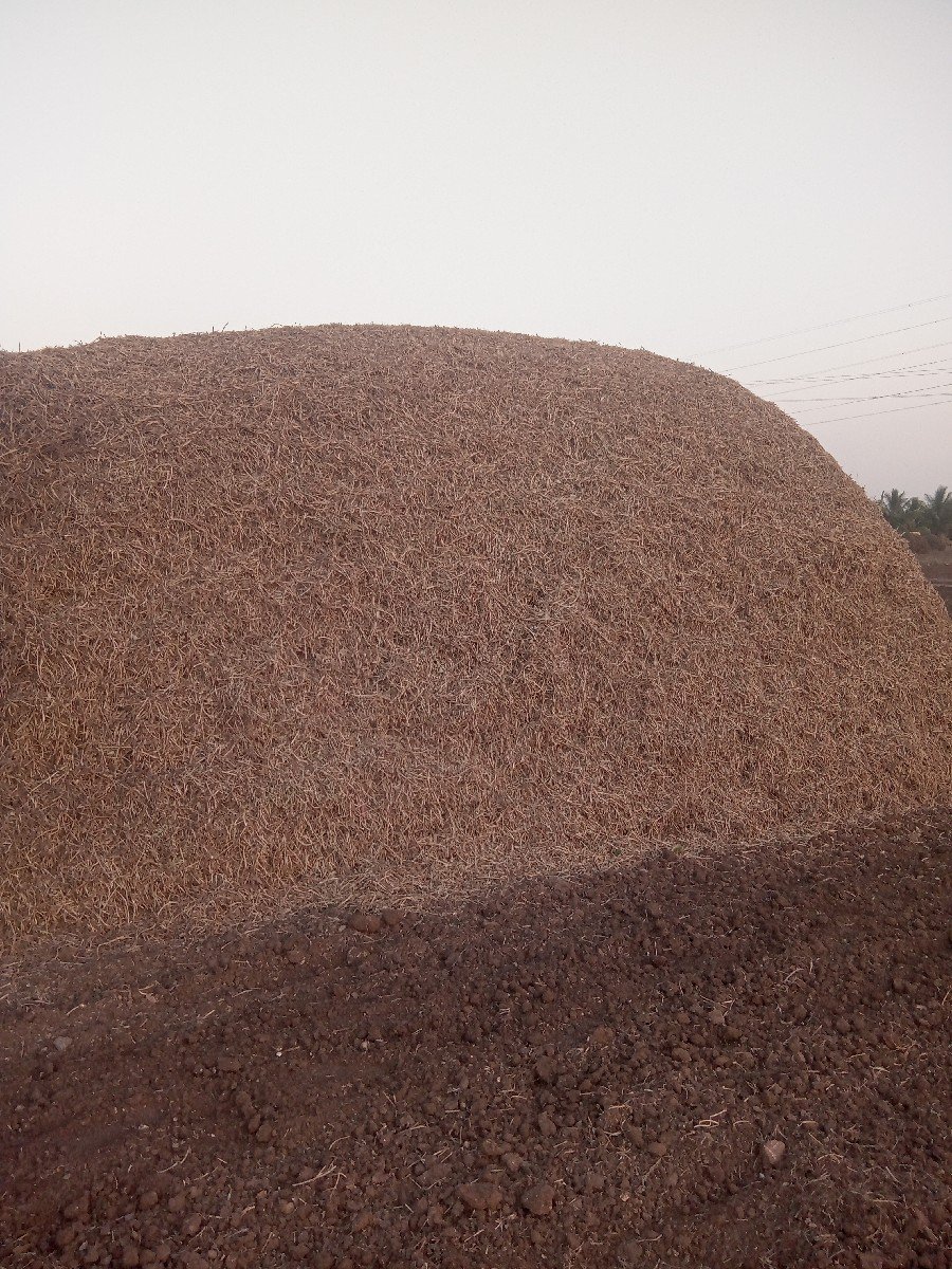 ગીરનાર ચાર મગફળી નો ભૂકો 6.5