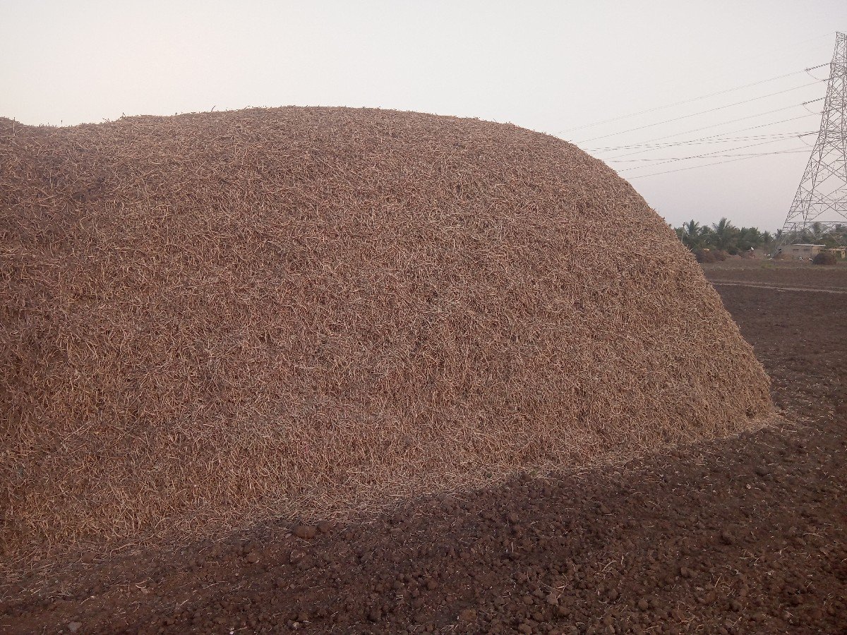 ગીરનાર ચાર મગફળી નો ભૂકો 6.5