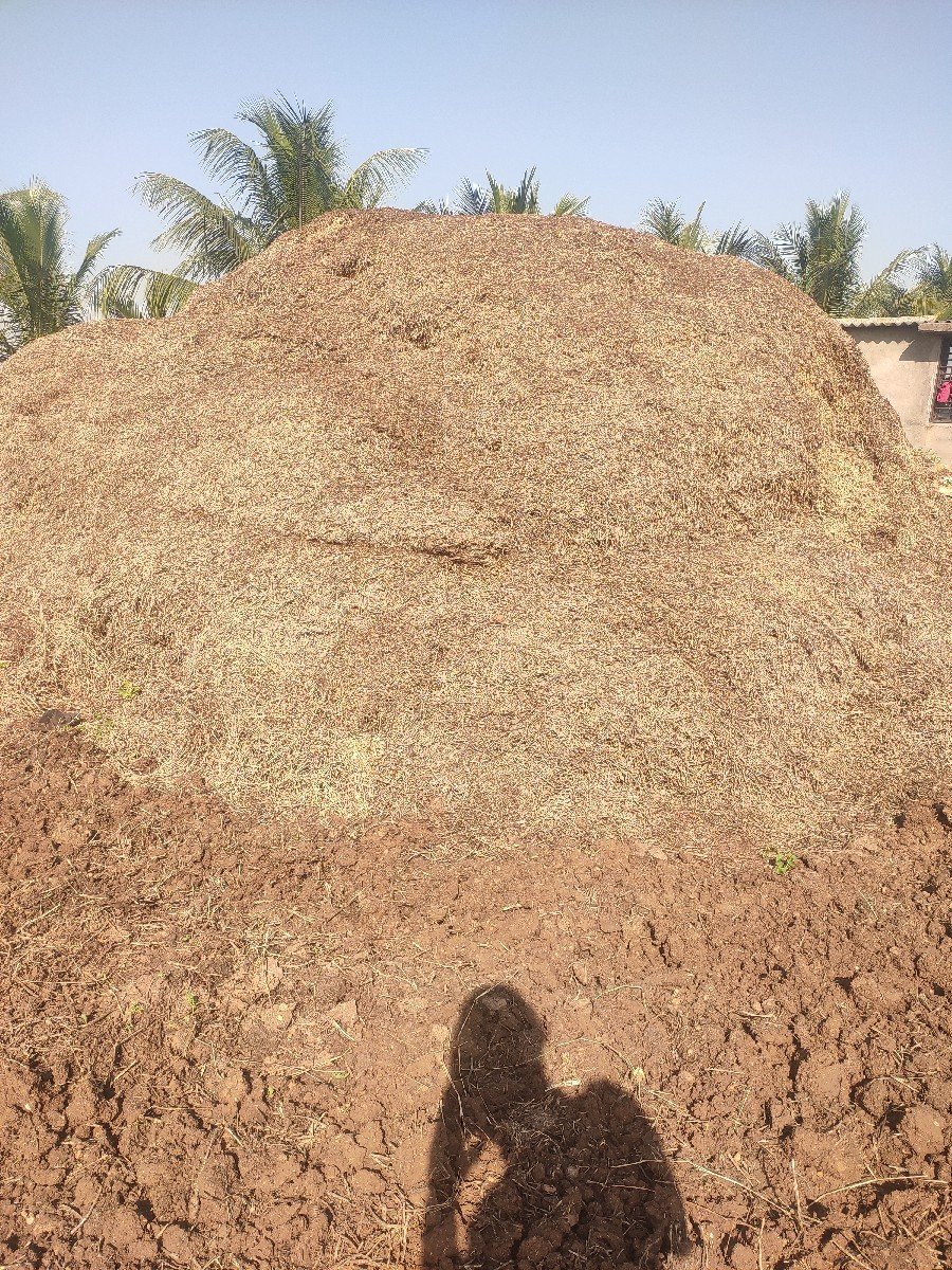 ૧૨ વીઘા નુ કોરૂ માંડવીયુ